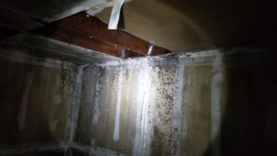 ceiling collapsing