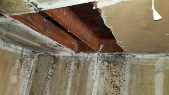 ceiling collapse