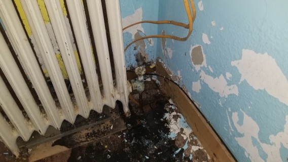 rotting floors, pipes wiring