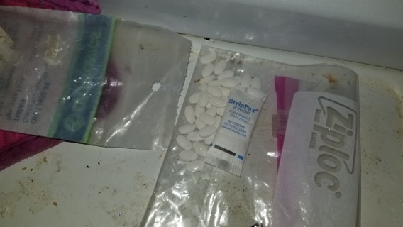 pills found in house