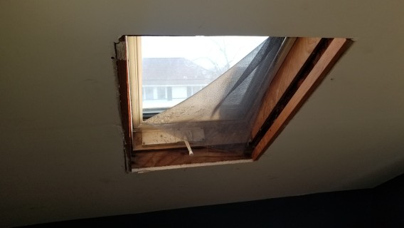broken windows left open