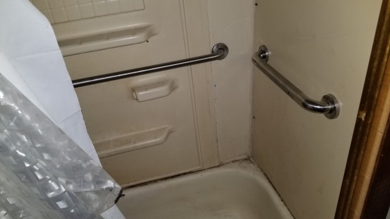black mold in bathroom