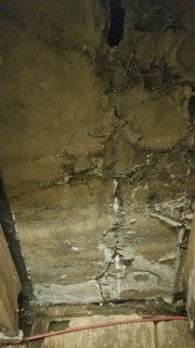 wall rot