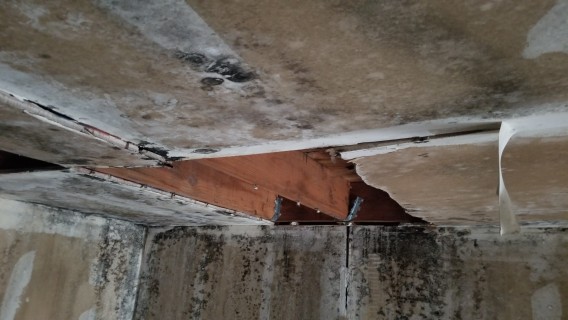ceiling collapse black mold